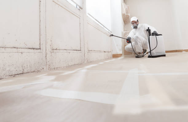 24/7 Emergency Black Mold Removal experts in Boston, GA