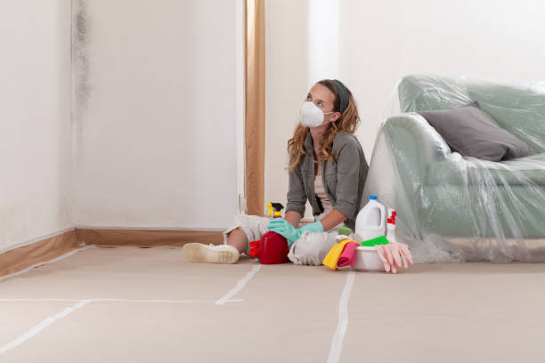 Reliable Black Mold Removal contractor in Boston, GA by WQB Mold Removal